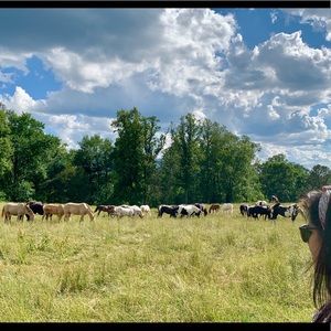 Meet your Posher, Sylvia